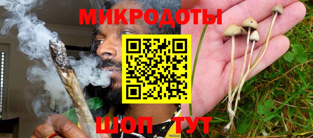 Псилоцибиновые грибы MAGIC MUSHROOMS Москва