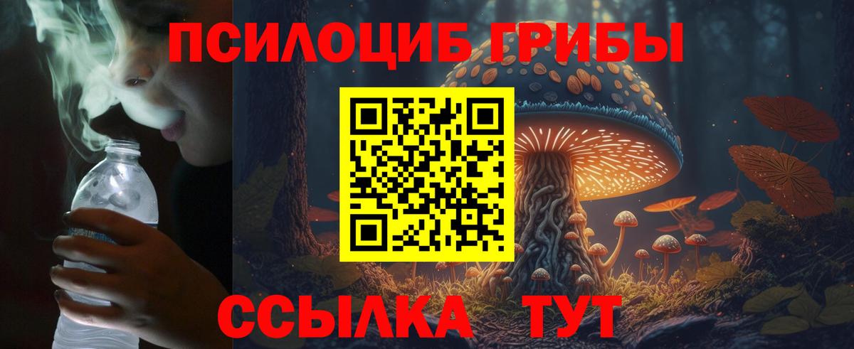 Москва  Псилоцибиновые грибы Cubensis  Псилоцибиновые грибы Magic Shrooms  Вход с VPN 